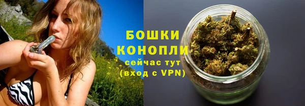 молекула духа Сосновоборск