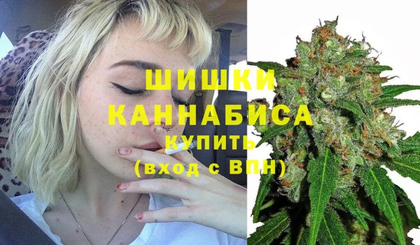 молекула духа Сосновоборск