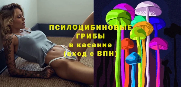 молекула духа Сосновоборск