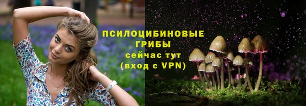 молекула духа Сосновоборск