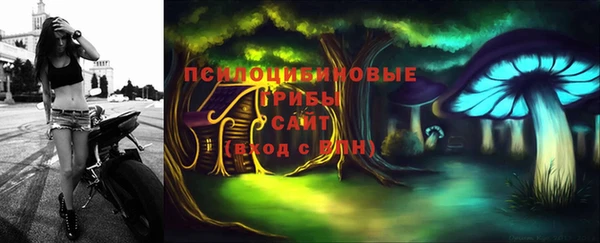 молекула духа Сосновоборск