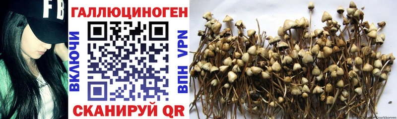 Галлюциногенные грибы мицелий  купить закладку  Тавда 