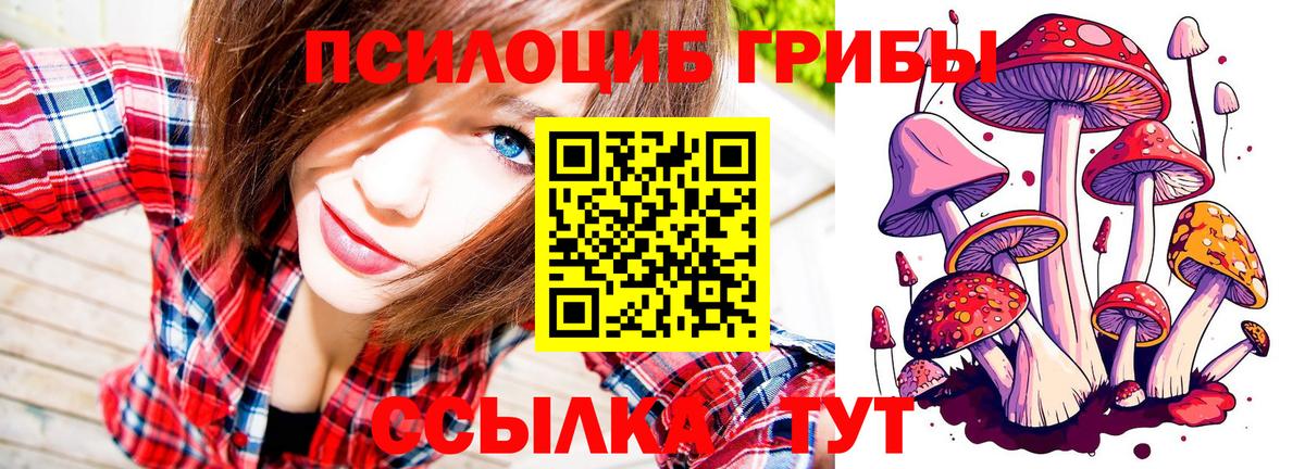 Галлюциногенные грибы прущие грибы Тавда