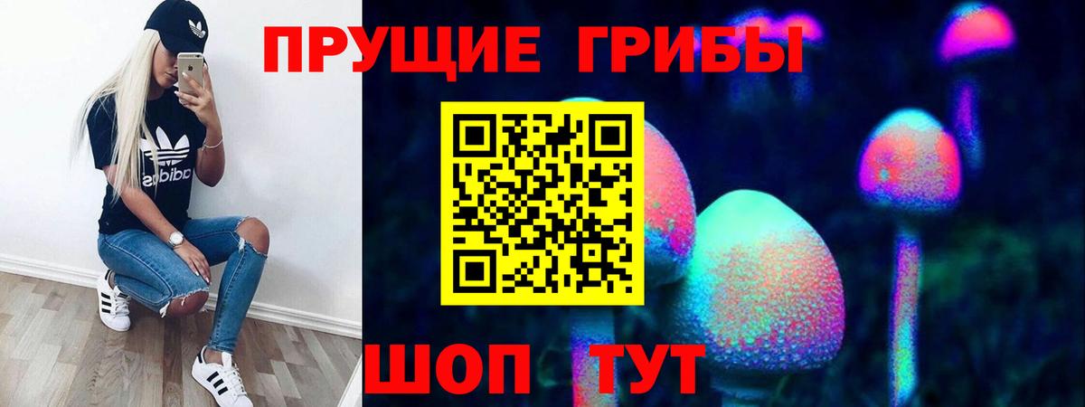 Тавда  Галлюциногенные грибы Magic Shrooms  Вход с VPN 